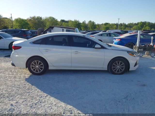 5NPE24AF9JH666806 Hyundai SONATA SE