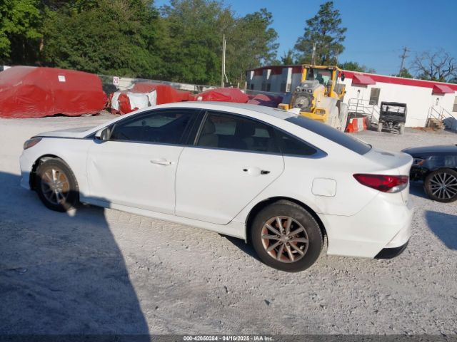 5NPE24AF9JH666806 Hyundai SONATA SE