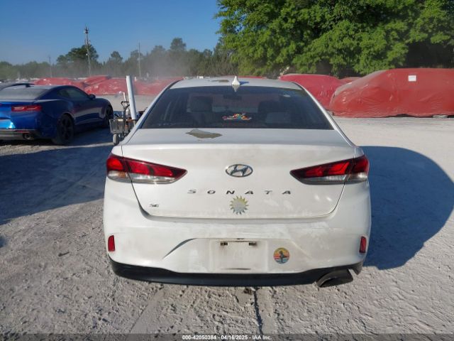 5NPE24AF9JH666806 Hyundai SONATA SE