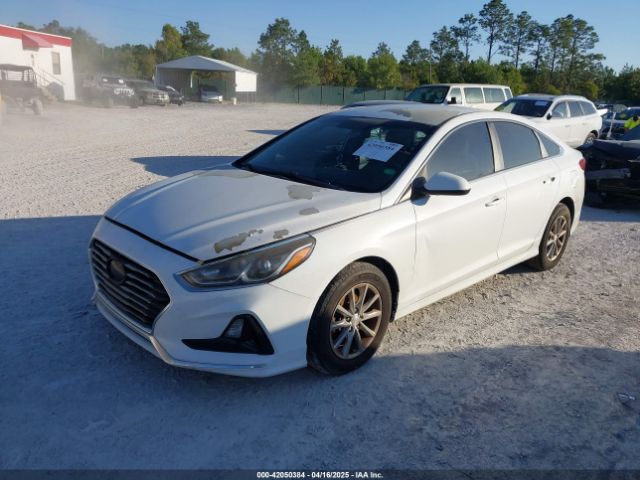 5NPE24AF9JH666806 Hyundai SONATA SE