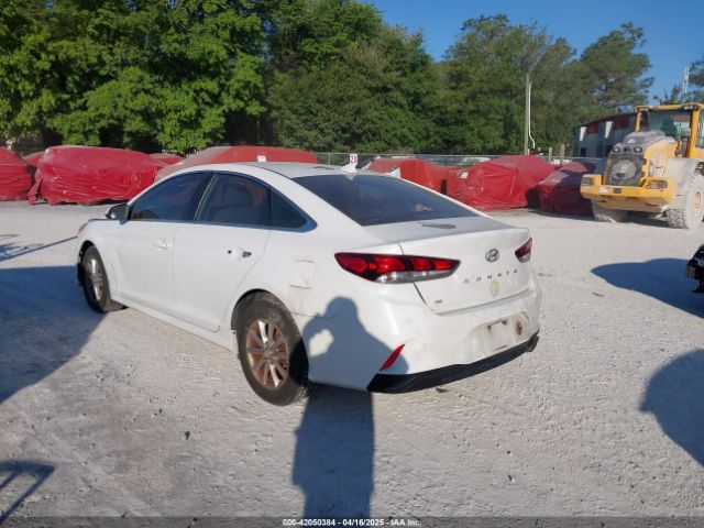 5NPE24AF9JH666806 Hyundai SONATA SE