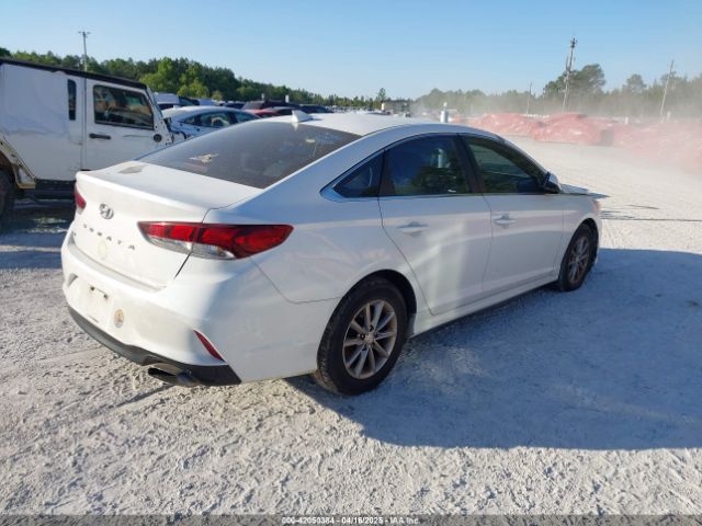 5NPE24AF9JH666806 Hyundai SONATA SE