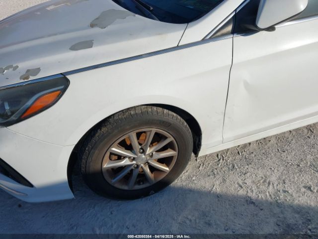 5NPE24AF9JH666806 Hyundai SONATA SE