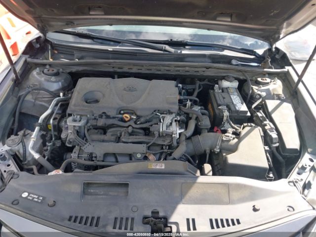 4T1F11AKXLU998261 Toyota CAMRY XLE