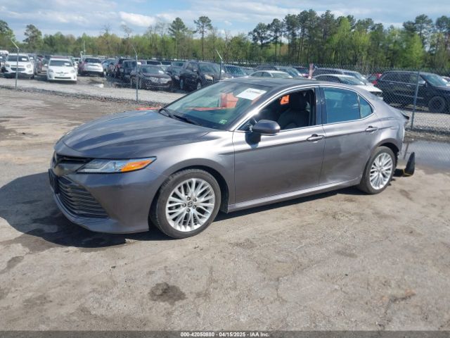 4T1F11AKXLU998261 Toyota CAMRY XLE