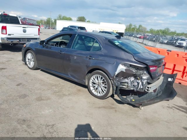 4T1F11AKXLU998261 Toyota CAMRY XLE