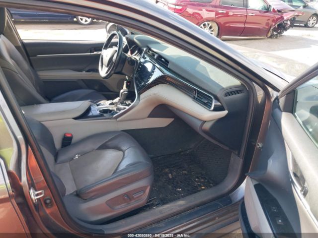 4T1F11AKXLU998261 Toyota CAMRY XLE