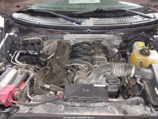 Ford F-150 Xlt 2014 1FTFW1EF5EFB71651 Image 10