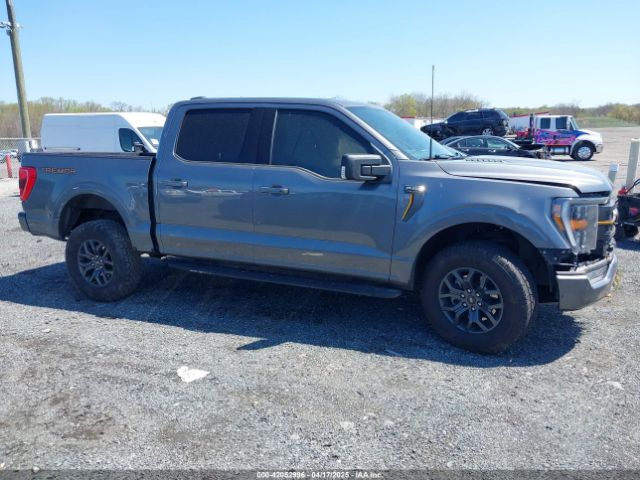 1FTEW1E89PFD04993 Ford F-150 Tremor