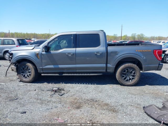 1FTEW1E89PFD04993 Ford F-150 Tremor