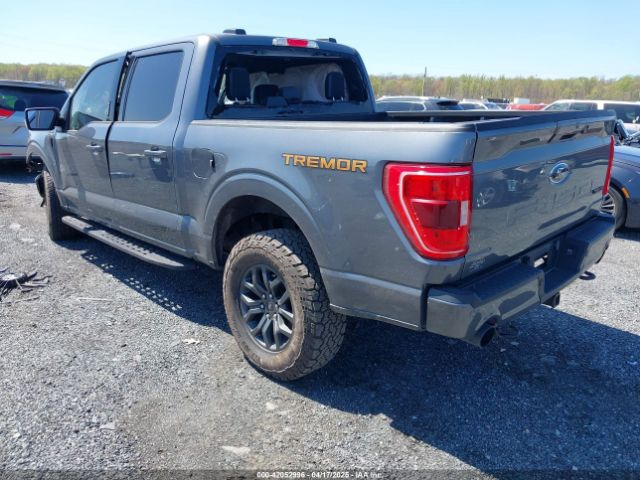 1FTEW1E89PFD04993 Ford F-150 Tremor
