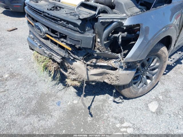 1FTEW1E89PFD04993 Ford F-150 Tremor