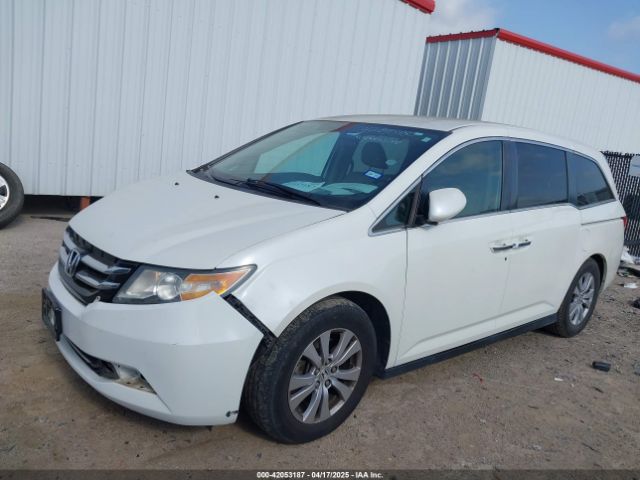 5FNRL5H34GB149629 Honda ODYSSEY SE