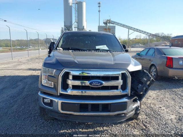 1FTEW1EG1FKD49715 Ford F-150 Xlt
