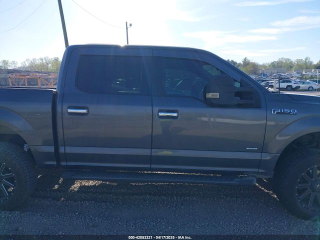 1FTEW1EG1FKD49715 Ford F-150 Xlt