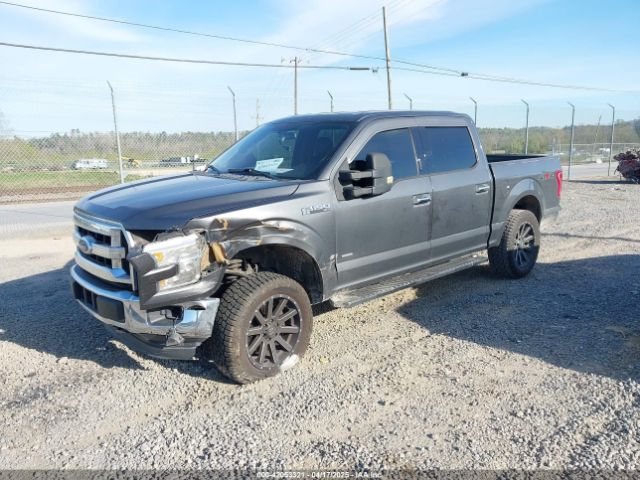 1FTEW1EG1FKD49715 Ford F-150 Xlt