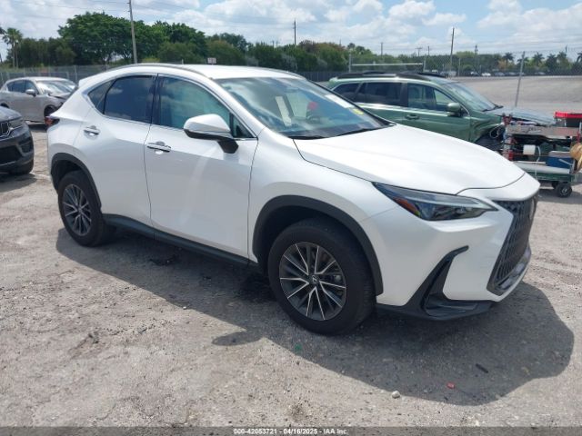 2024 LEXUS NX 250 2T2ADCAZ9RC015022