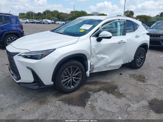 2024 LEXUS NX 250 2T2ADCAZ9RC015022 Photo 1