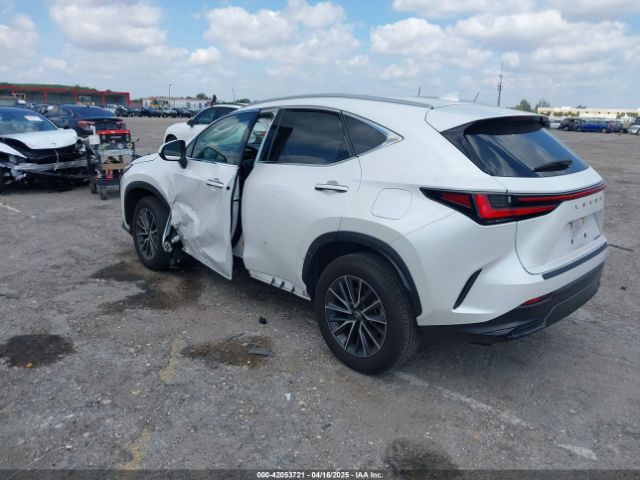 2024 LEXUS NX 250 2T2ADCAZ9RC015022 Photo 2