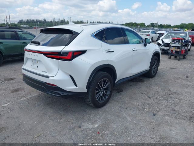 2024 LEXUS NX 250 2T2ADCAZ9RC015022 Photo 3