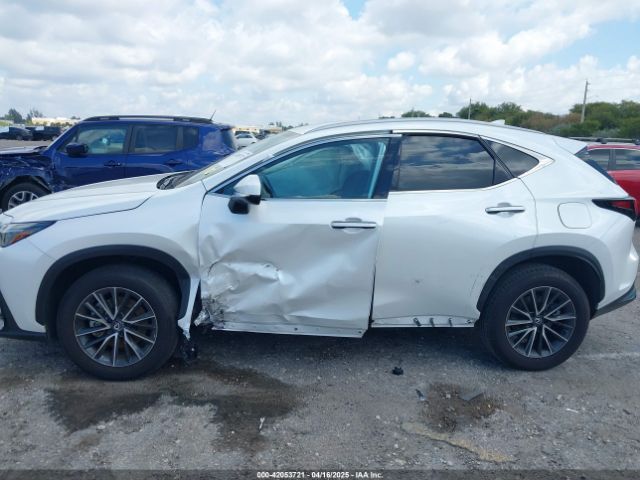 2024 LEXUS NX 250 2T2ADCAZ9RC015022 Photo 5