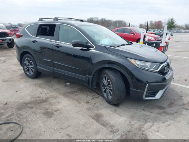2020 HONDA CR-V 5J6RW2H81LL032206