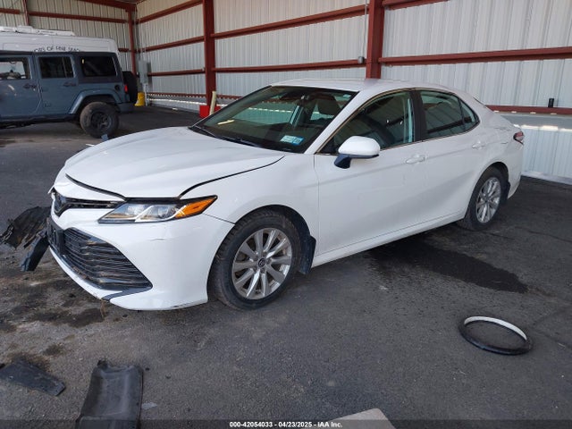 4T1C11AK9LU935025 Toyota CAMRY LE