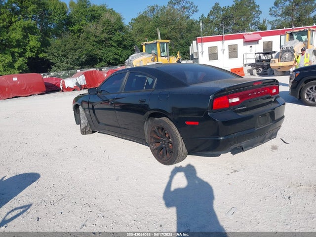 Dodge Charger Police 2014 2C3CDXAT7EH252354 Image 3