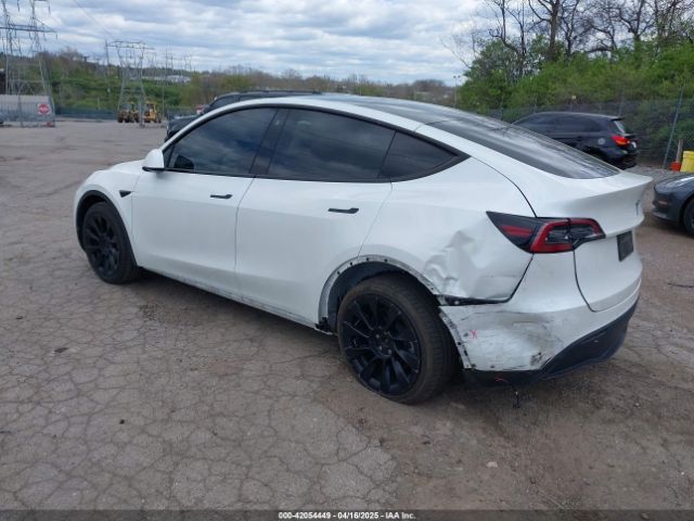 2022 TESLA MODEL Y 7SAYGDEE7NF385207 Photo 2
