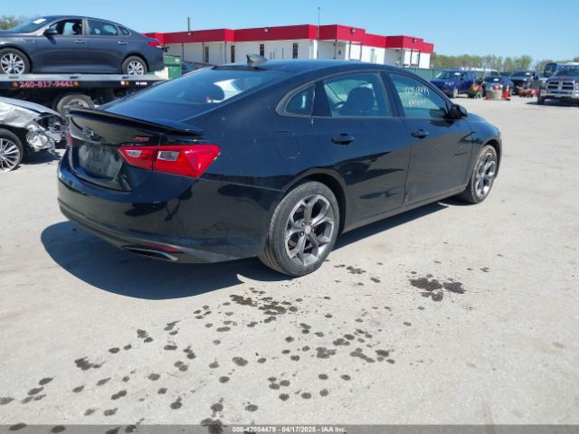 2019 CHEVROLET MALIBU 1G1ZG5ST2KF218828 Photo 3