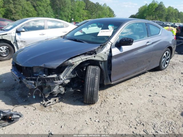 1HGCT1B36GA013262 Honda Accord Lx-s