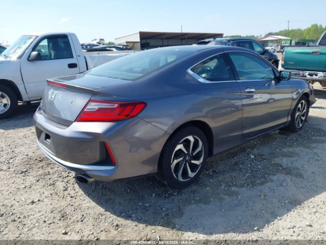 1HGCT1B36GA013262 Honda Accord Lx-s