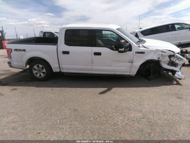 1FTEW1EP6FKE74256 Ford F-150 Xlt