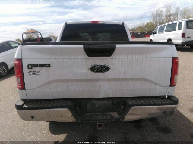 1FTEW1EP6FKE74256 Ford F-150 Xlt