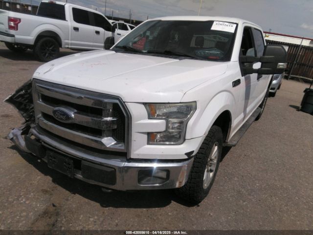 1FTEW1EP6FKE74256 Ford F-150 Xlt
