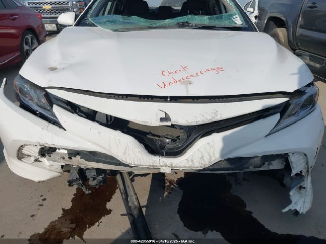 4T1C11AK8LU342613 Toyota CAMRY LE