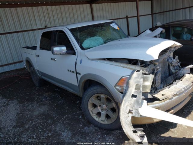 2009 DODGE RAM 1500 1D3HV13TX9J519720