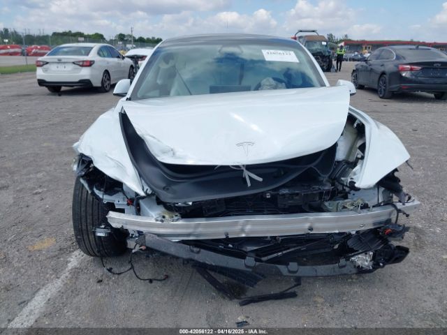 2025 TESLA MODEL 3 5YJ3E1EA7SF903675 Photo 5