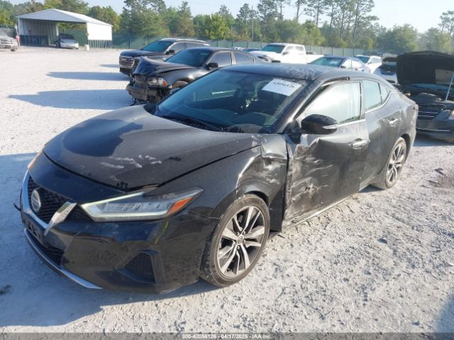 1N4AA6AV8KC376936 Nissan Maxima 3.5 Sv