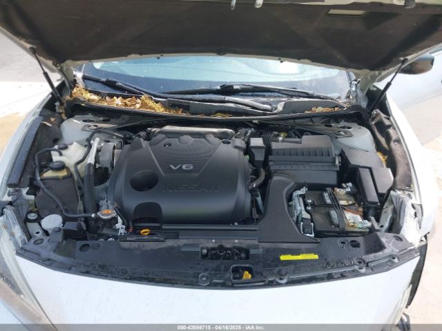 1N4AA6AP6HC440529 Nissan Maxima 3.5 S