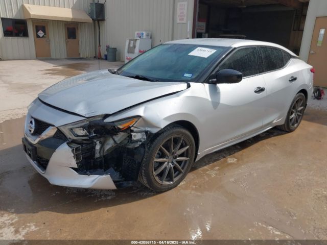 1N4AA6AP6HC440529 Nissan Maxima 3.5 S