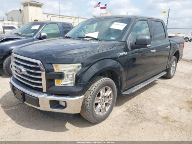 1FTEW1CF6FKE03827 Ford F-150 Xlt