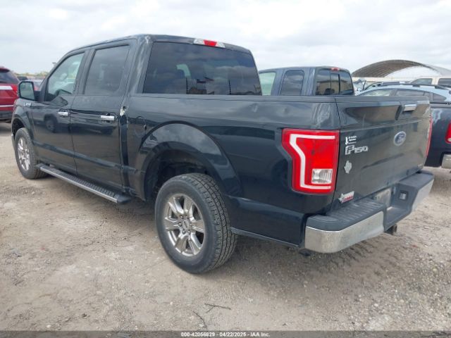 1FTEW1CF6FKE03827 Ford F-150 Xlt