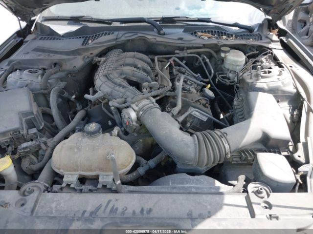 1FA6P8AM6F5369629 Ford Mustang V6