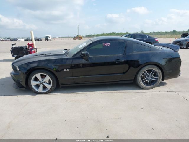 1ZVBP8CF5E5217134 Ford MUSTANG GT