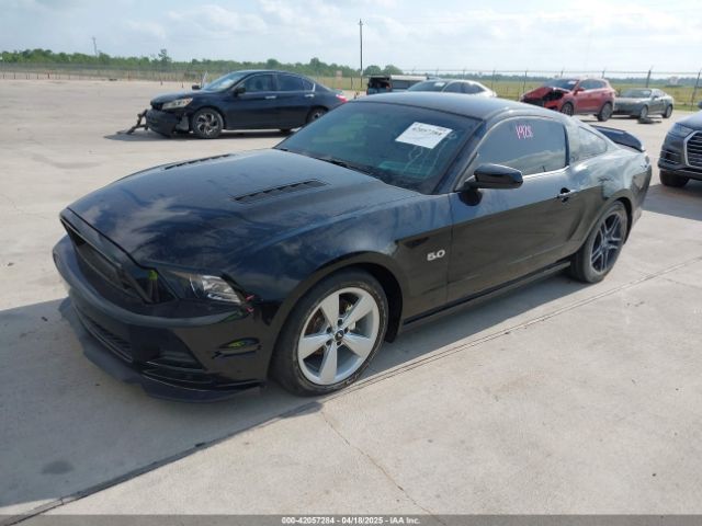 1ZVBP8CF5E5217134 Ford MUSTANG GT