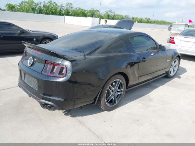 1ZVBP8CF5E5217134 Ford MUSTANG GT