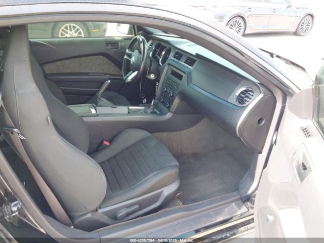 1ZVBP8CF5E5217134 Ford MUSTANG GT