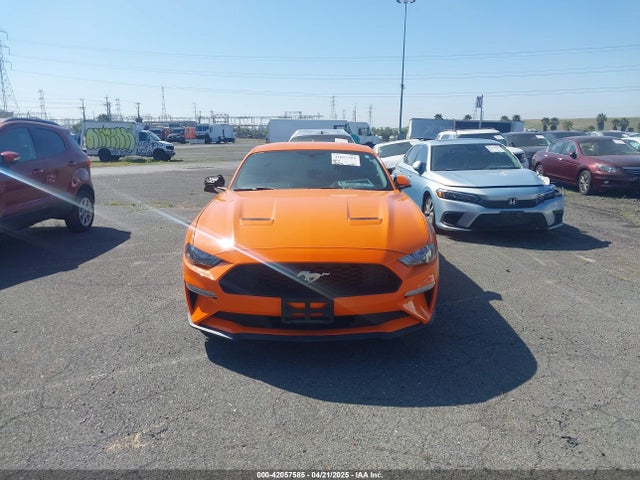Ford Mustang Ecoboost Fastback 2020 1FA6P8TH9L5177150 Image 13