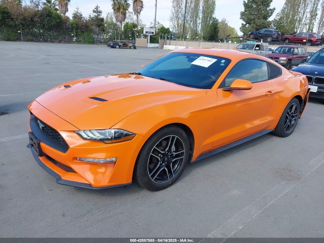 Ford Mustang Ecoboost Fastback 2020 1FA6P8TH9L5177150 Image 2